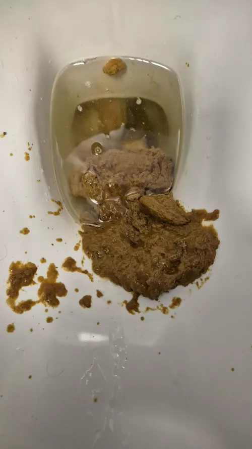 26yo bi guy uk dropping slop in the public toilets at university 