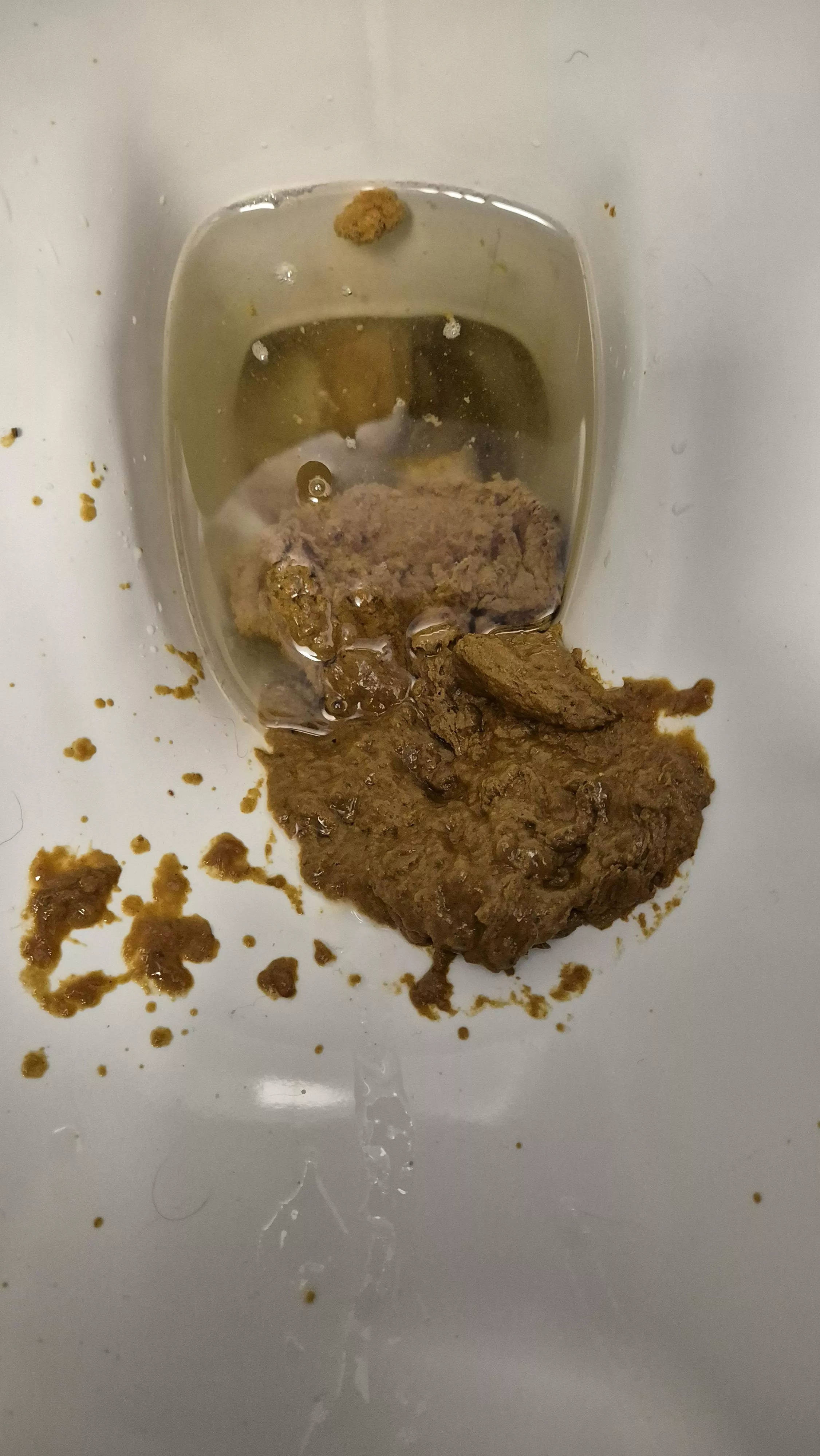 26yo bi guy uk dropping slop in the public toilets at university 