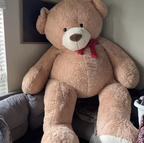 29/M & I have a giant teddy bear bigger than me that I wanna grind on & moan hard & loud on for someone