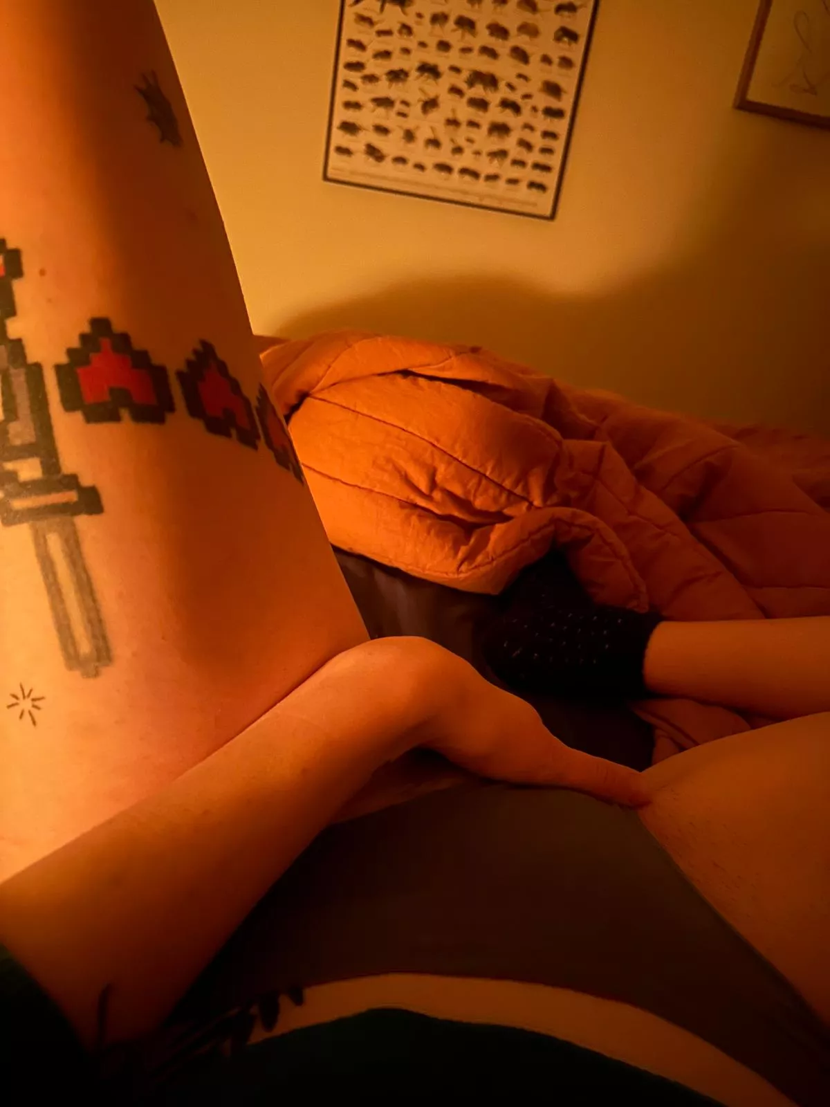 A couple of my favorite nerdy topics in one picture 🎮🐝