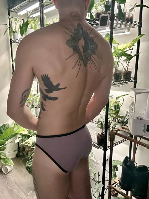 Always in my underwear 