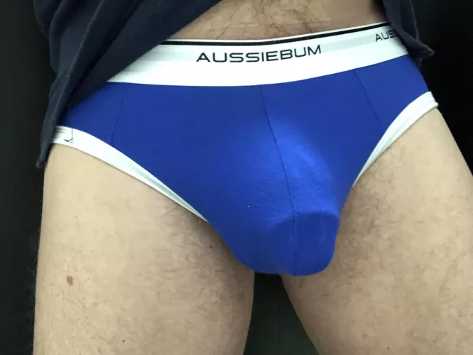 Aussiebum comfort [oc]