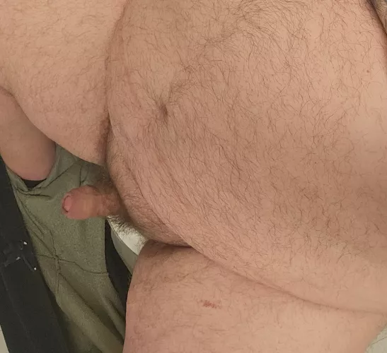 Big belly bear hard a work. DMs open.