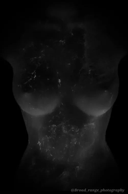 B&W. Covered in spiderweb 