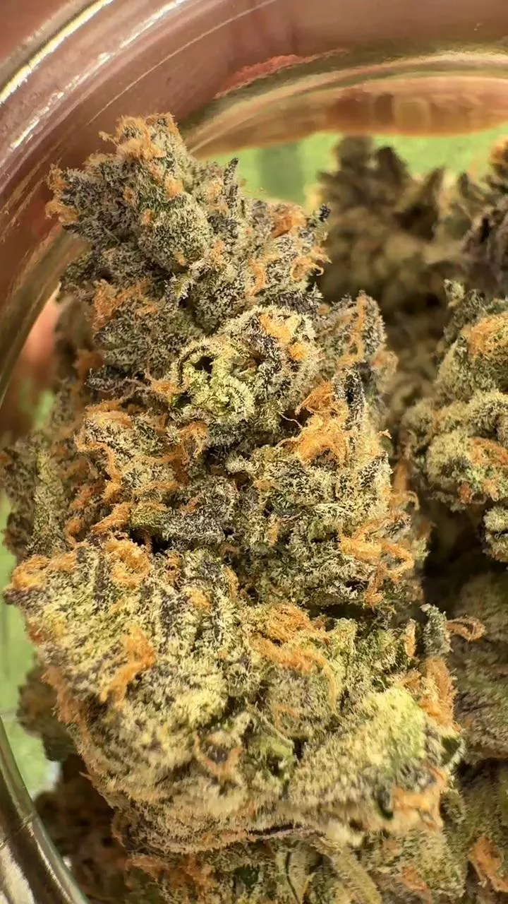 California Black Roze #2