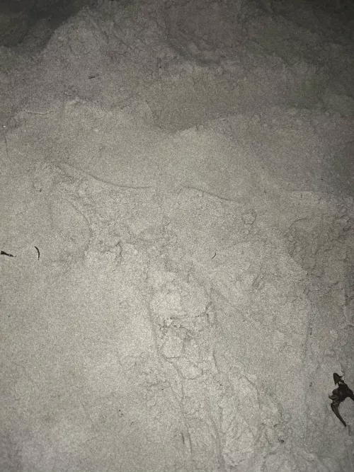 Can i blow you at Henne Strand now?