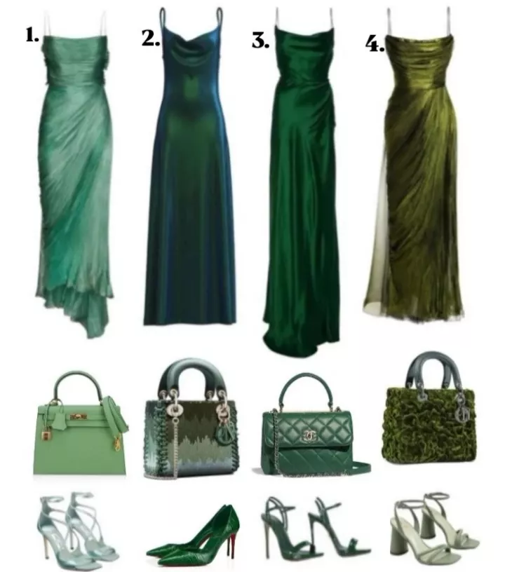 Choose your outfit for today, sissy 