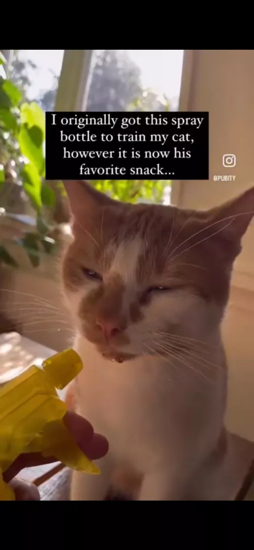 Daddy send me this: “this is you with spankies😒” 😂😂