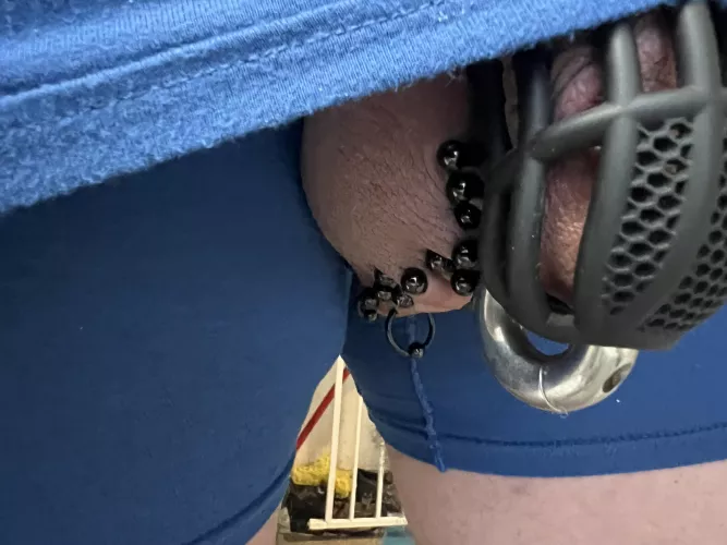 Day 16 headed to work 