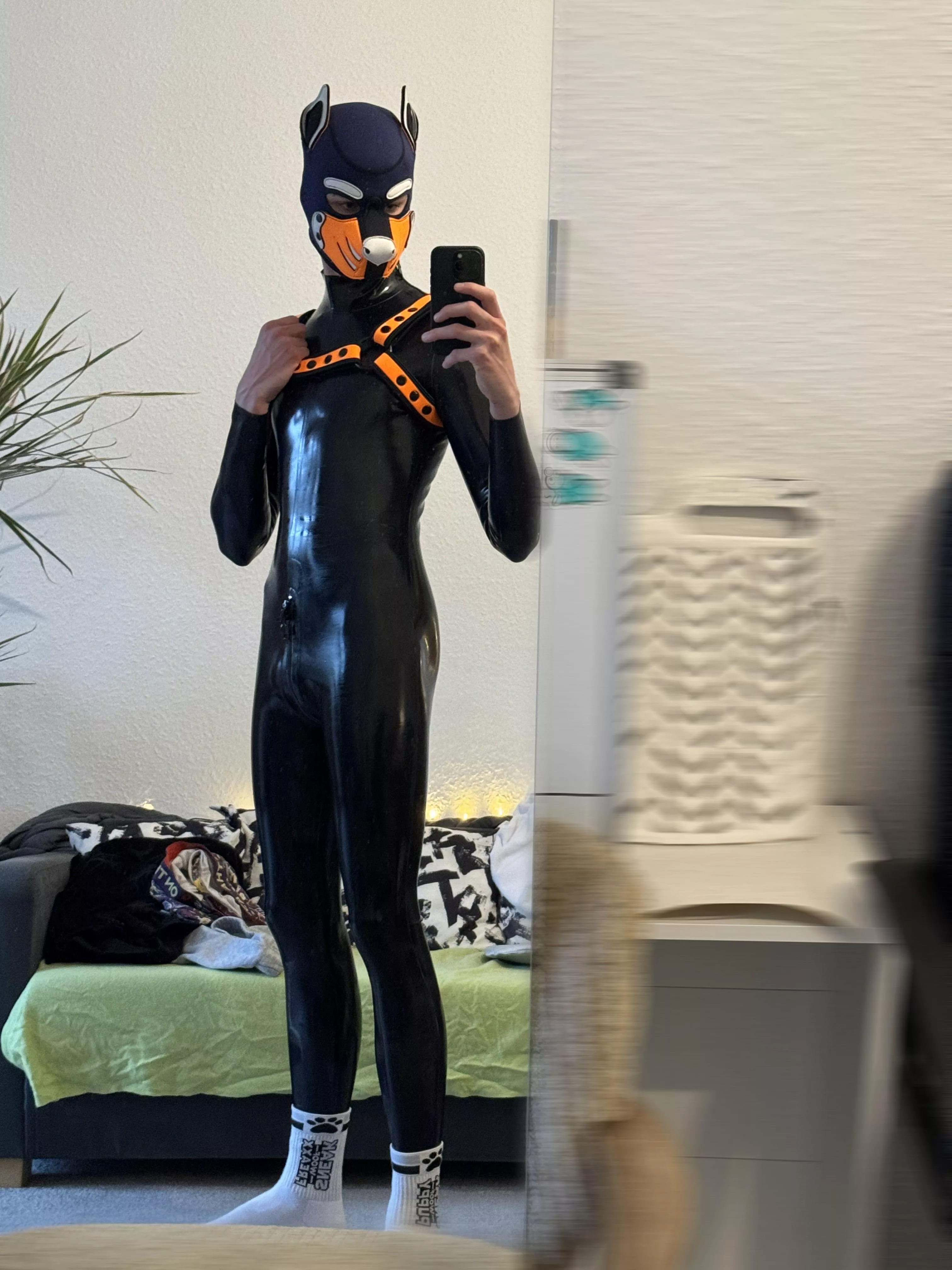 do you like a shiny rubber pup?