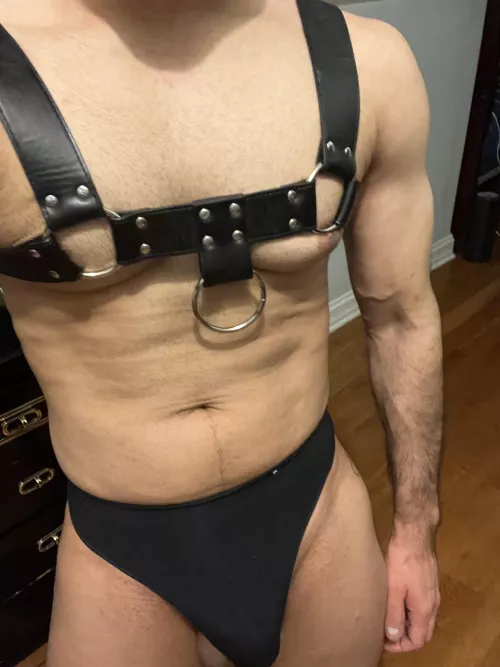 Don’t look at the bottom of this picture!