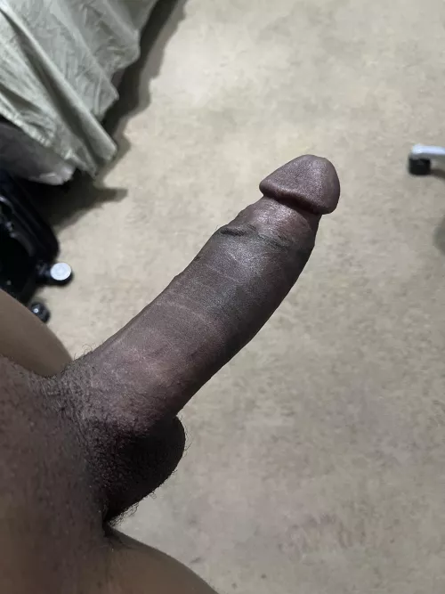 Freshly shaven just for you (Maricopa)