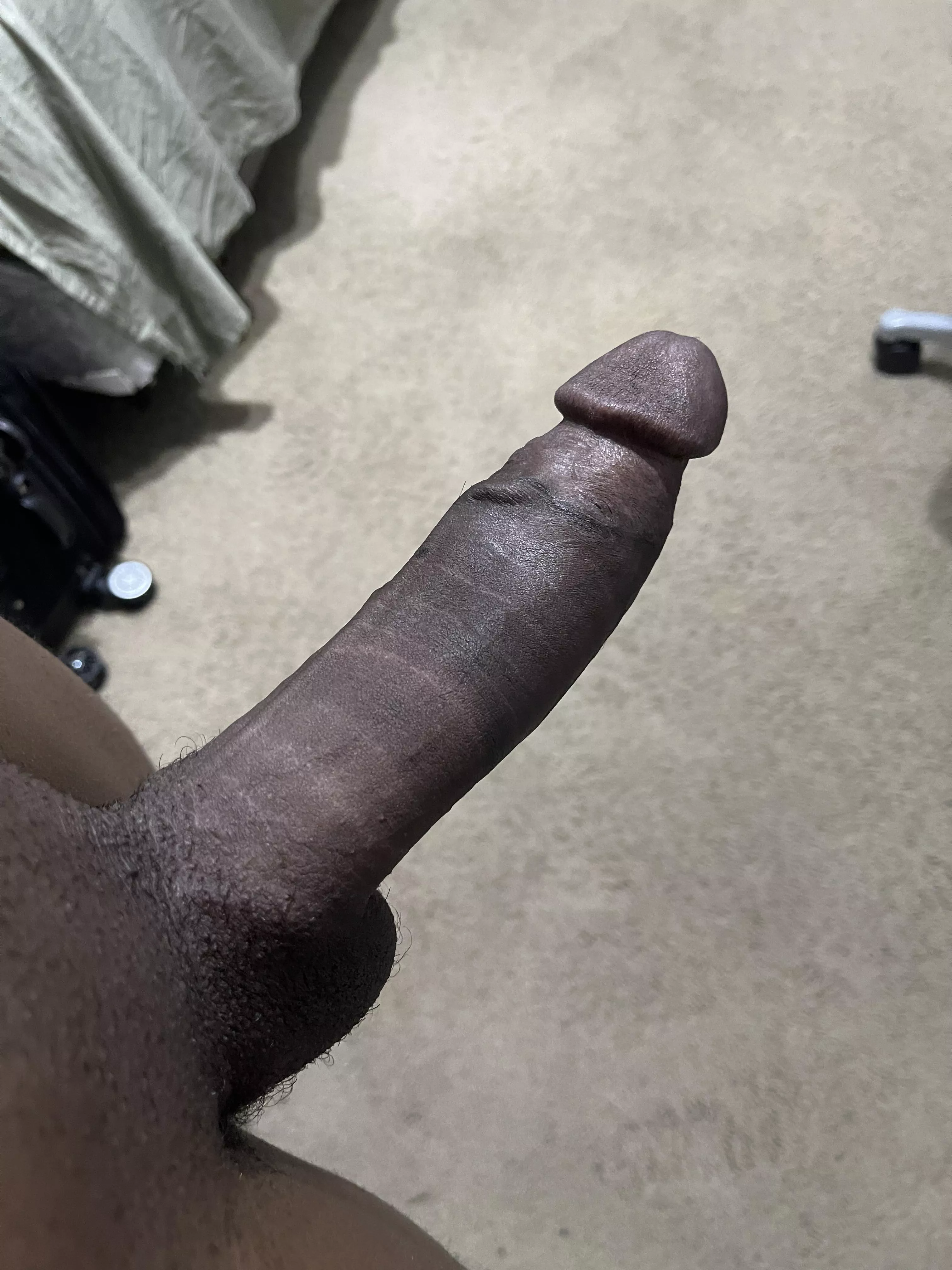 Freshly shaven just for you (Maricopa)