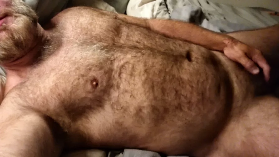 Furball in Long Beach ca