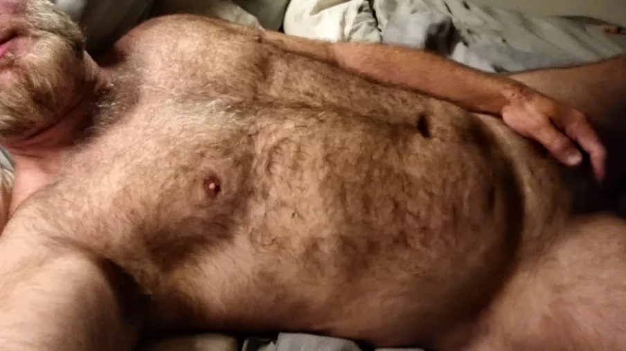 Furball in Long Beach ca