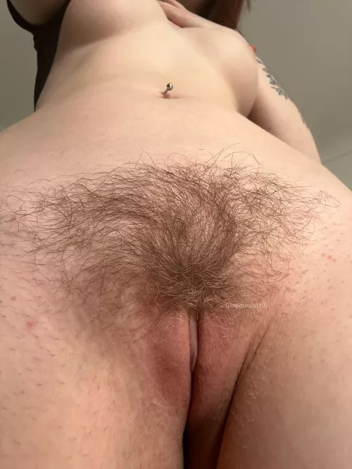 Happy Friday, hope you bush lovers have a lovely weekend 