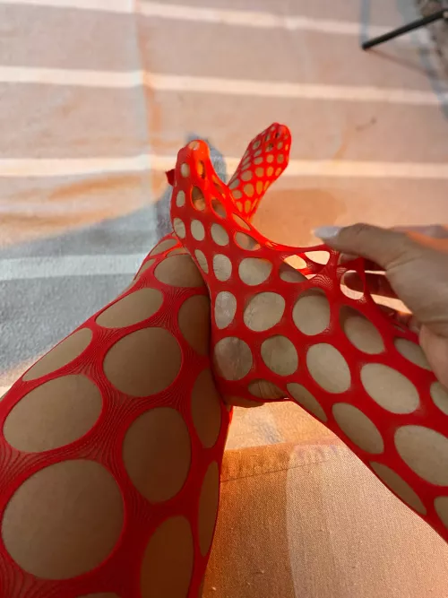 How do you keep from giving up?