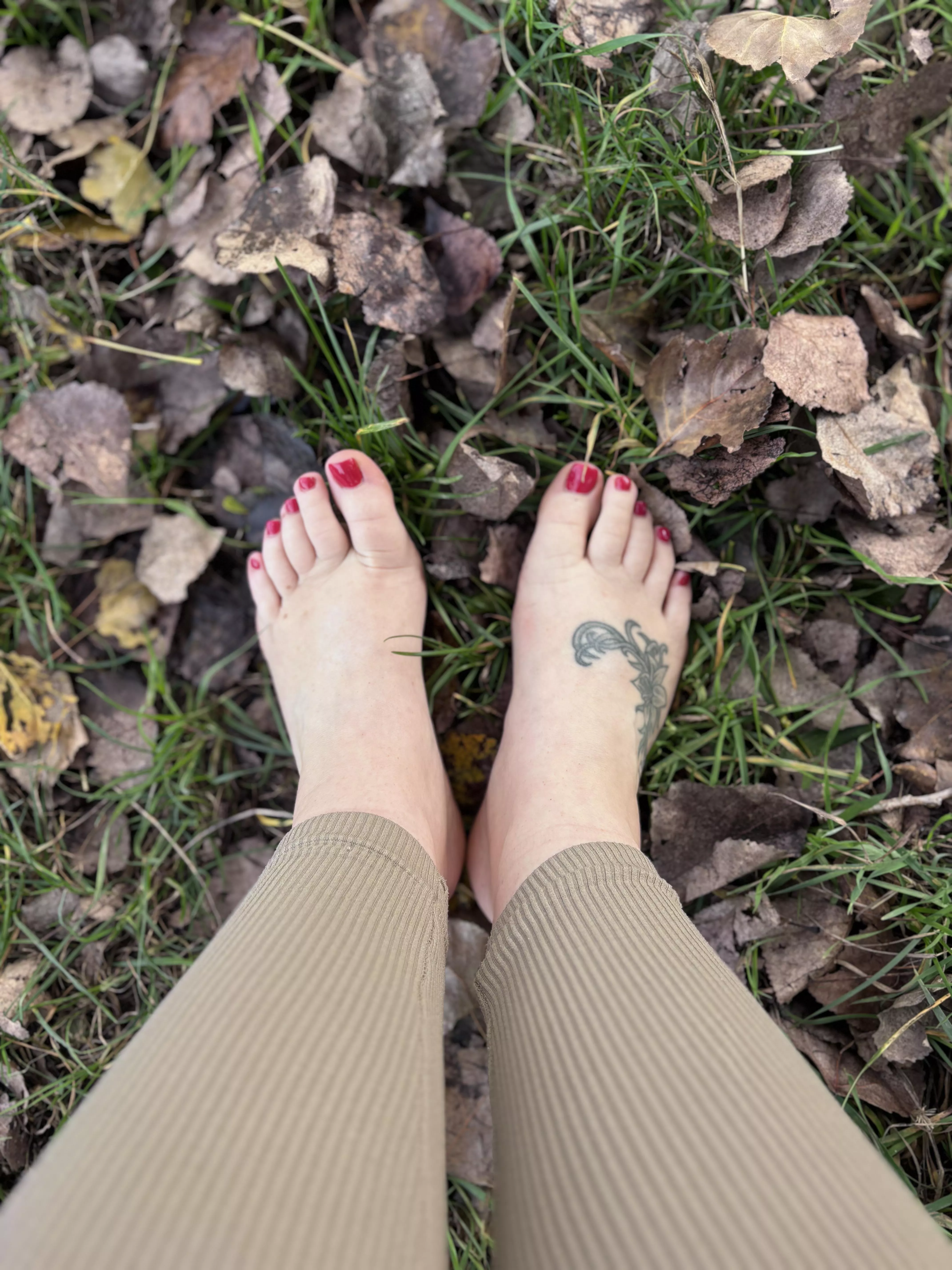 I walk through the leaves and puddles, would you lick them clean? Oc