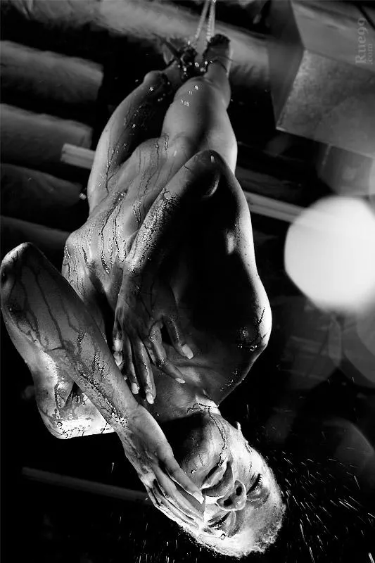 Knot today my Little Rope Bunny?