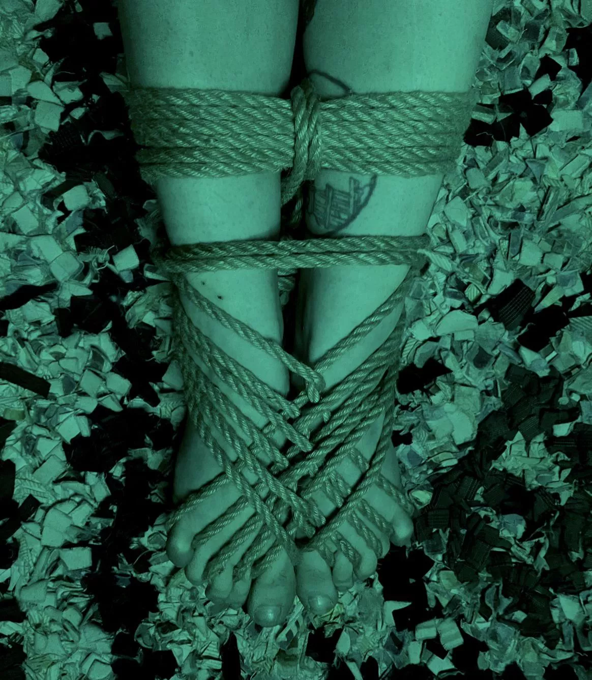 Lil piggies. Self tie