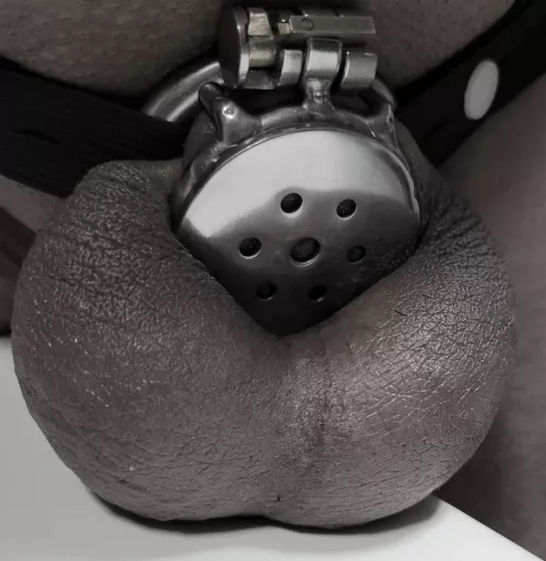 Locktober 2024 - day 17- do my balls look FULL?