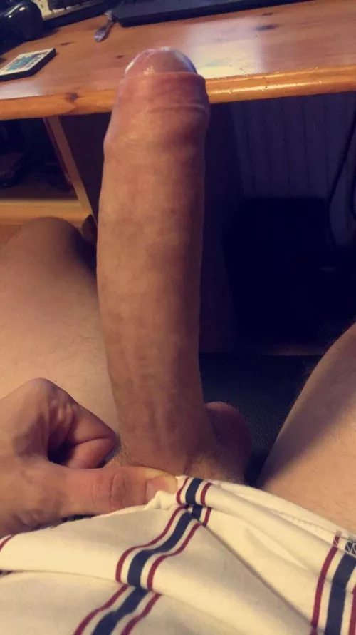 M4f where are the cougars??