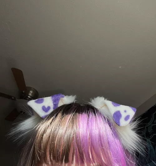 New puppy ears!