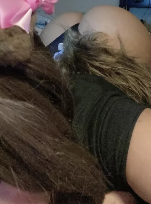 Puppy girl looking for a loving home 🤍🐶