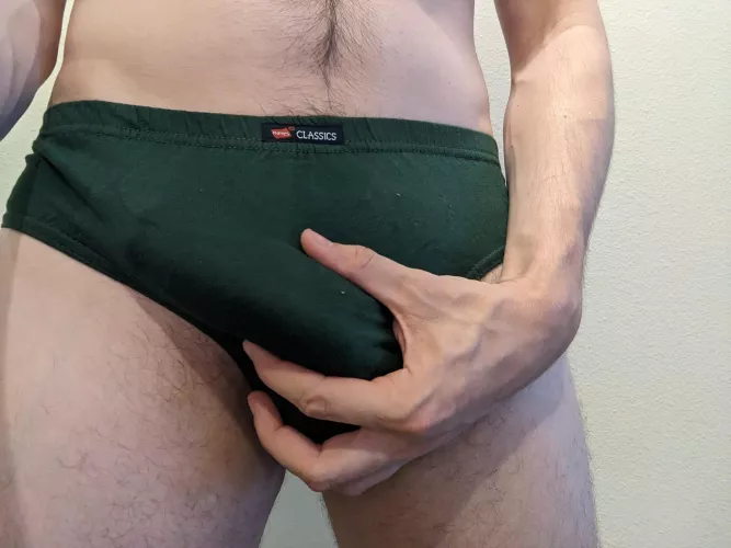 [Selling][US][24] Vintage 2002 Hanes Classics bikini briefs, medium, customizable