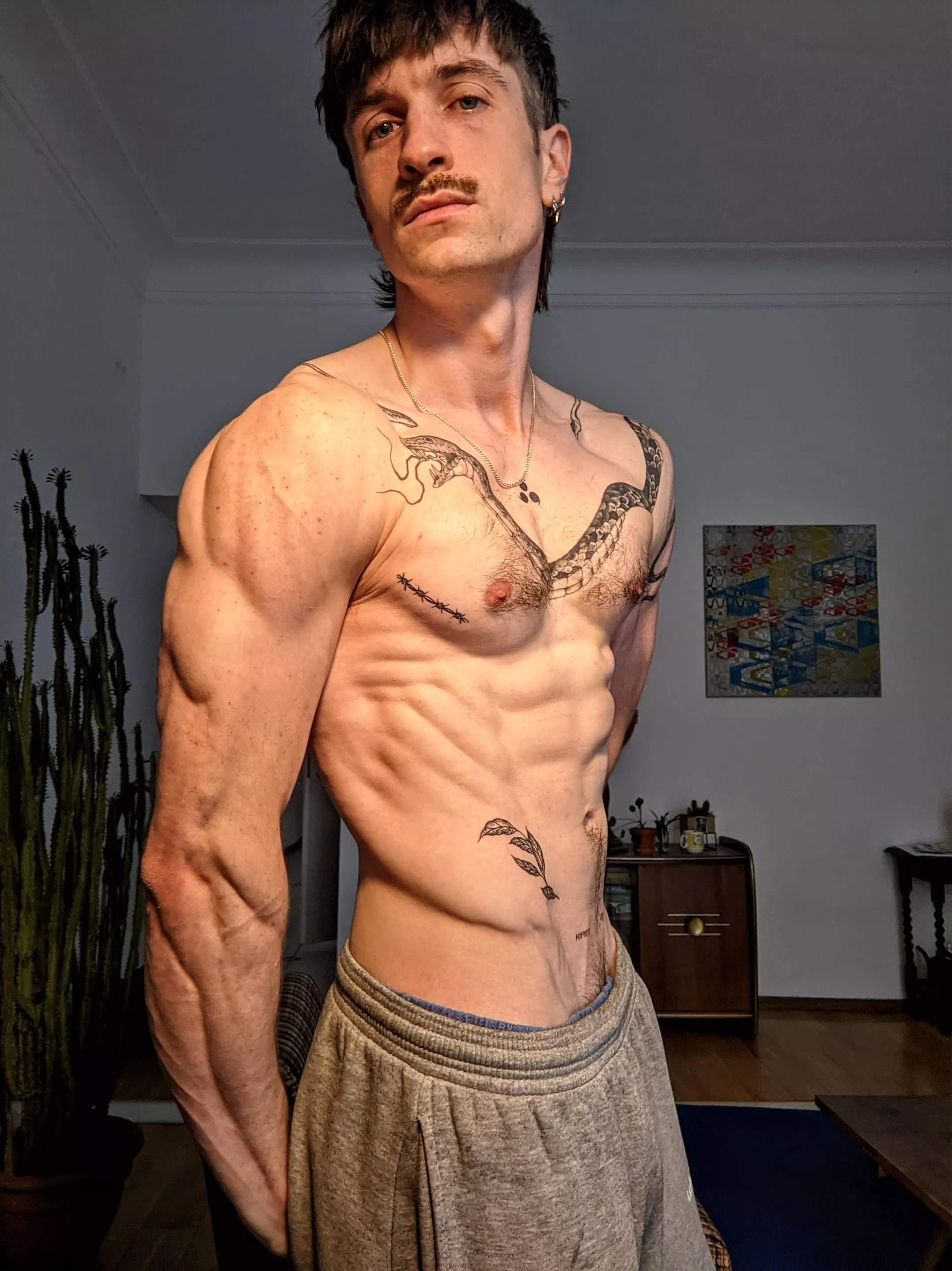 Side view of dat sharp V