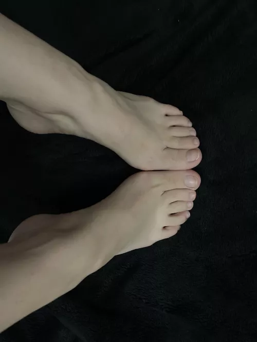 Tell me they are cute