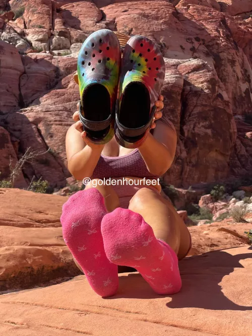 The excessive heat warnings went away which means I can go on hikes again🥳 [F] 