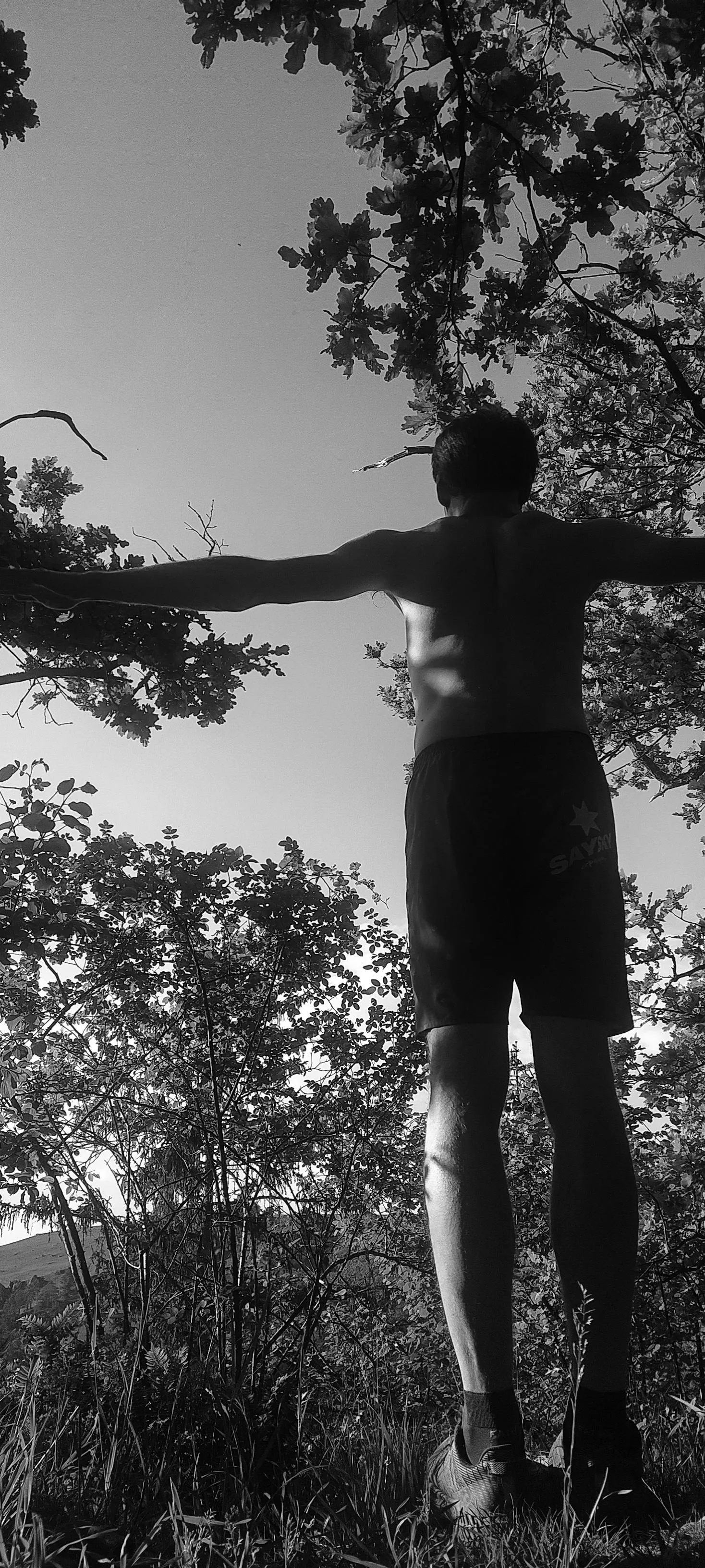 The magic of fall (colors)