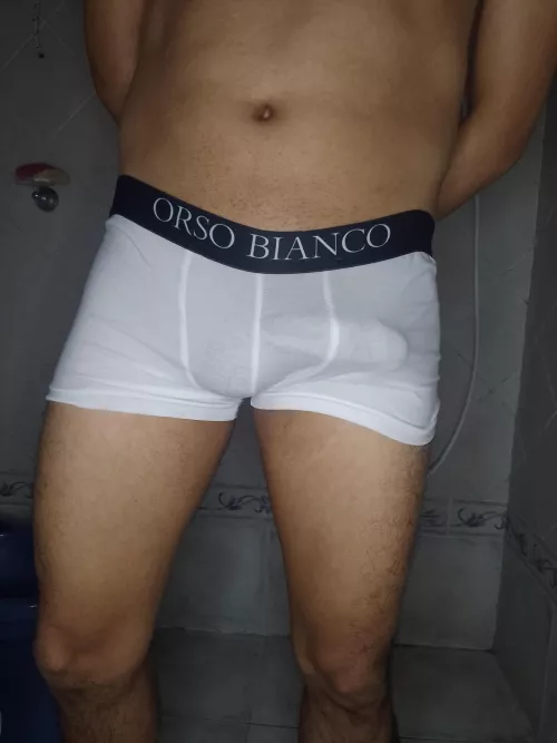 The perfect tease: the shape of my hard cock showing through my white boxers 😈