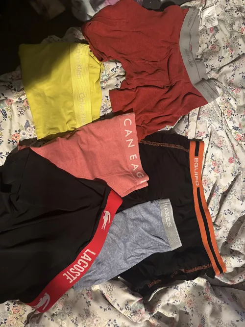 Variety of Used Men’s Underwear 