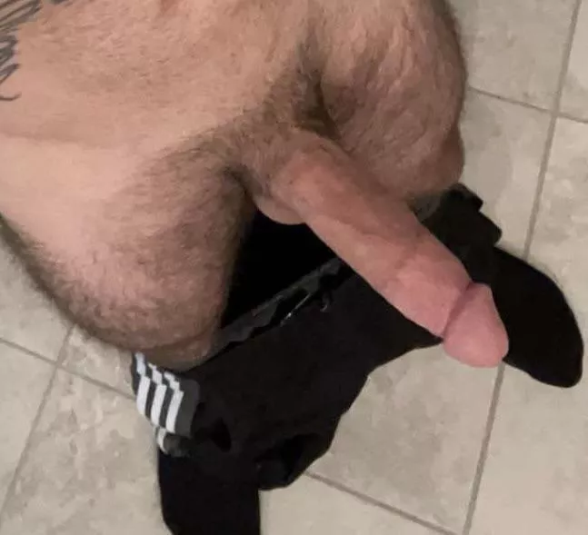 Where are the south fl slut? 