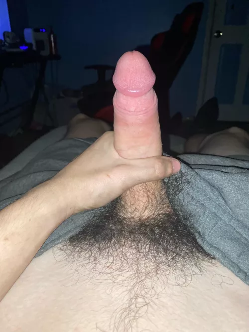 Who can host car fun I want my balls drained 