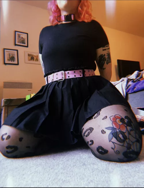 Would you take this puppy for a walk 🥹