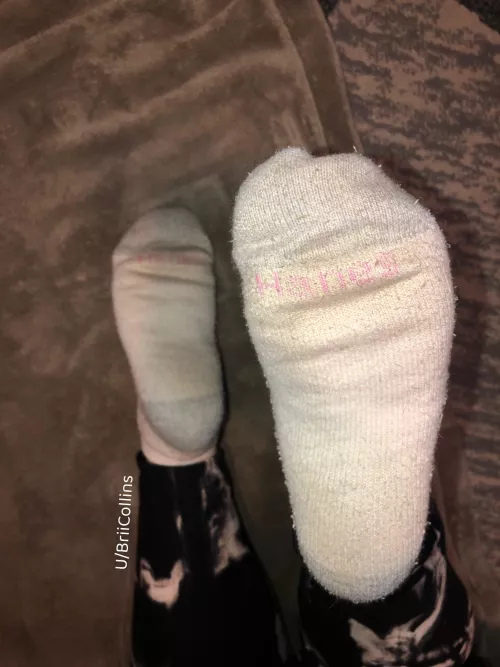 You’re craving for a sniff, don’t you? [f]