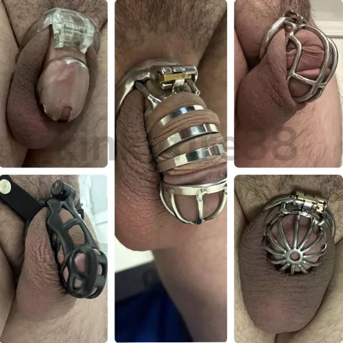 10 years of cages and our collection keeps growing