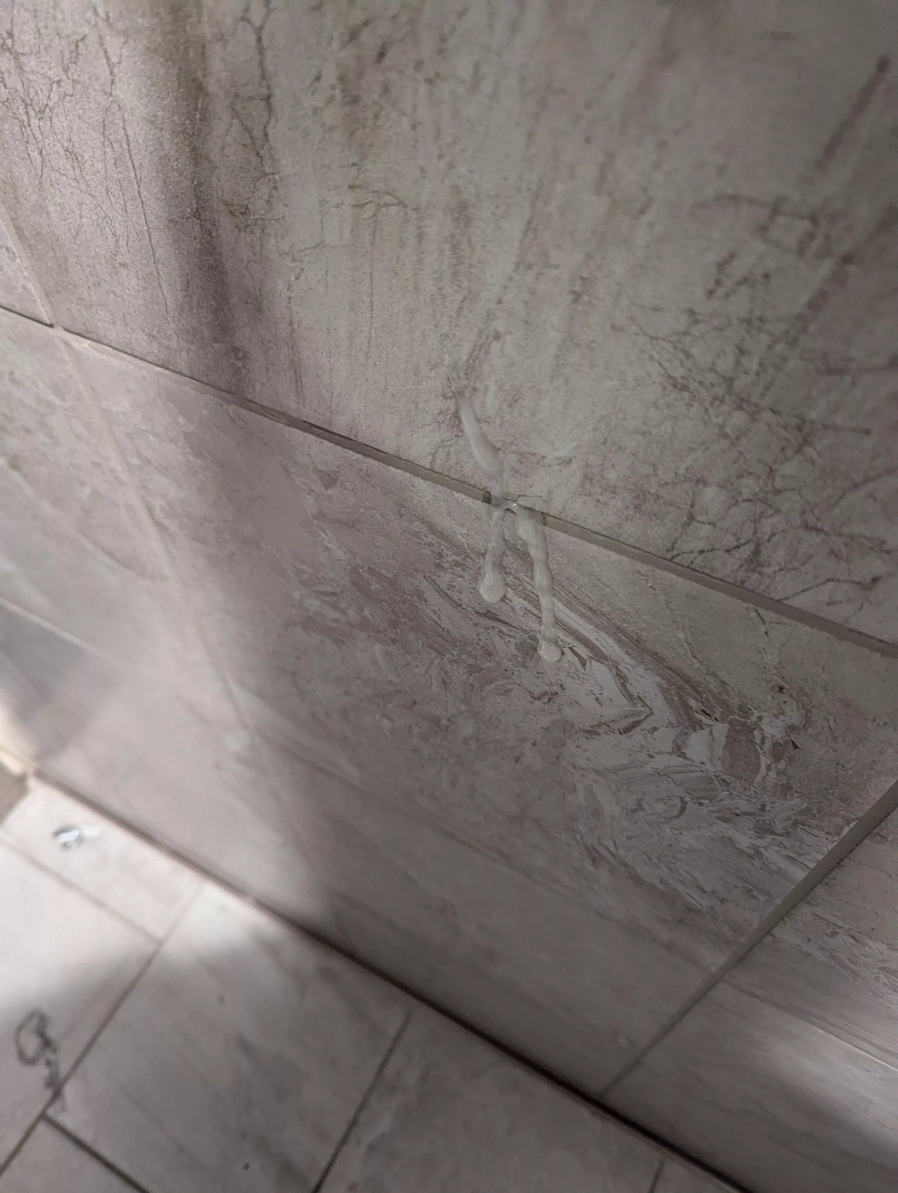 [18] Nice thick load at Planet Fitness 