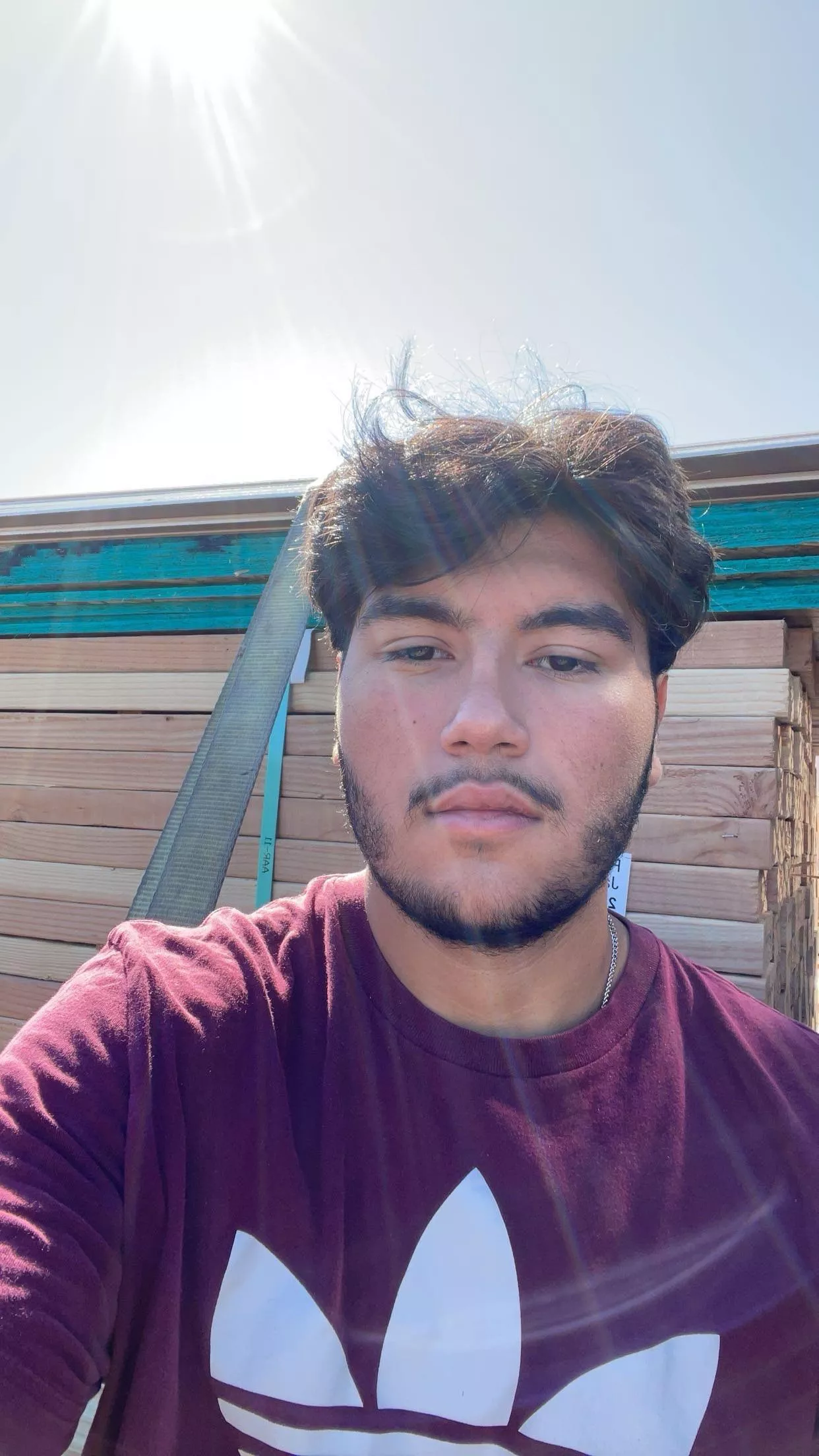 19M in Medford looking for anything 