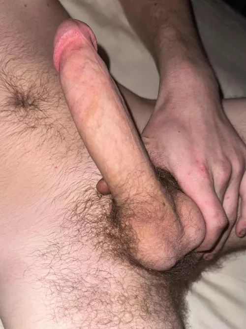 22M4F/MF looking for fun tonight, HMU, near tarentum
