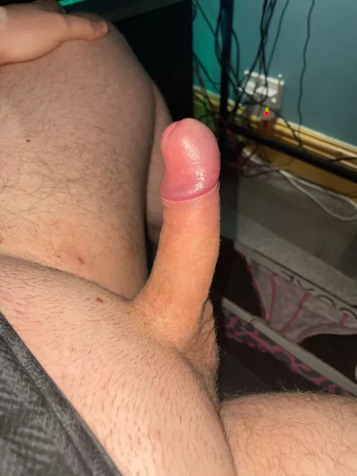 23 top need people to show off their ass to me I’m horny @nattop01