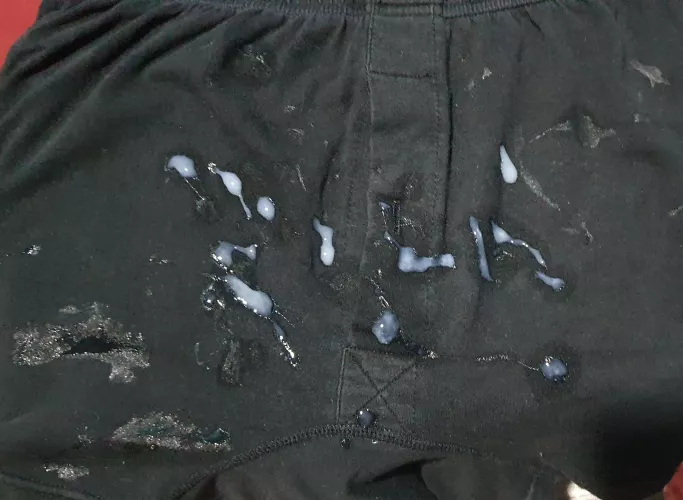 [25] boxer tag with a fresh load 