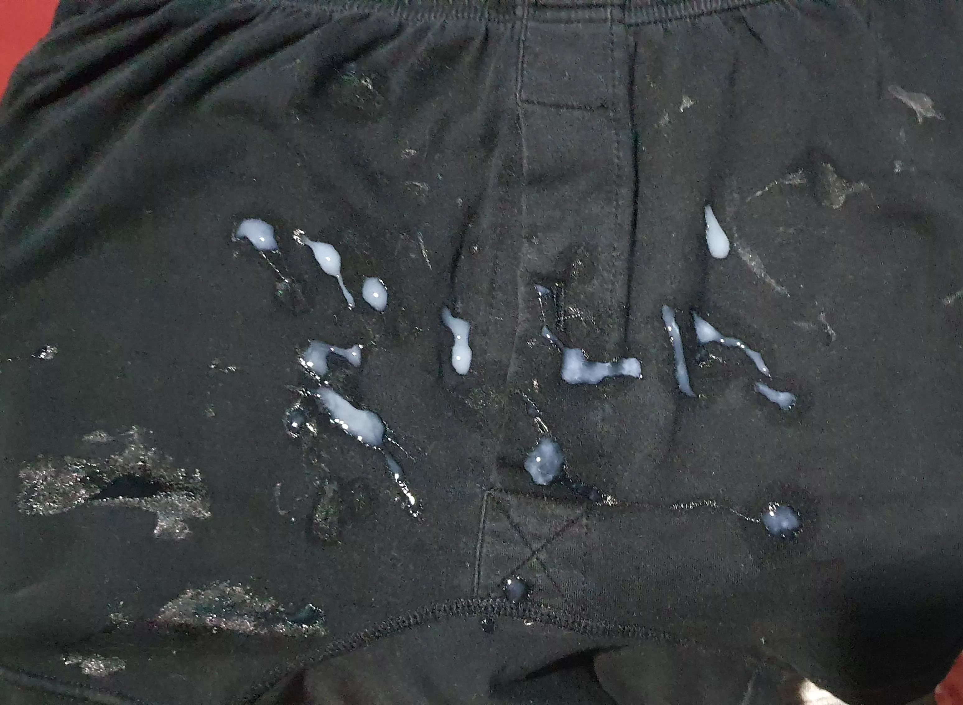 [25] boxer tag with a fresh load 