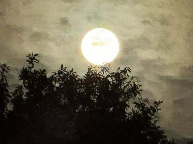 27f back downtown today peep the profile see if interested (; [f]