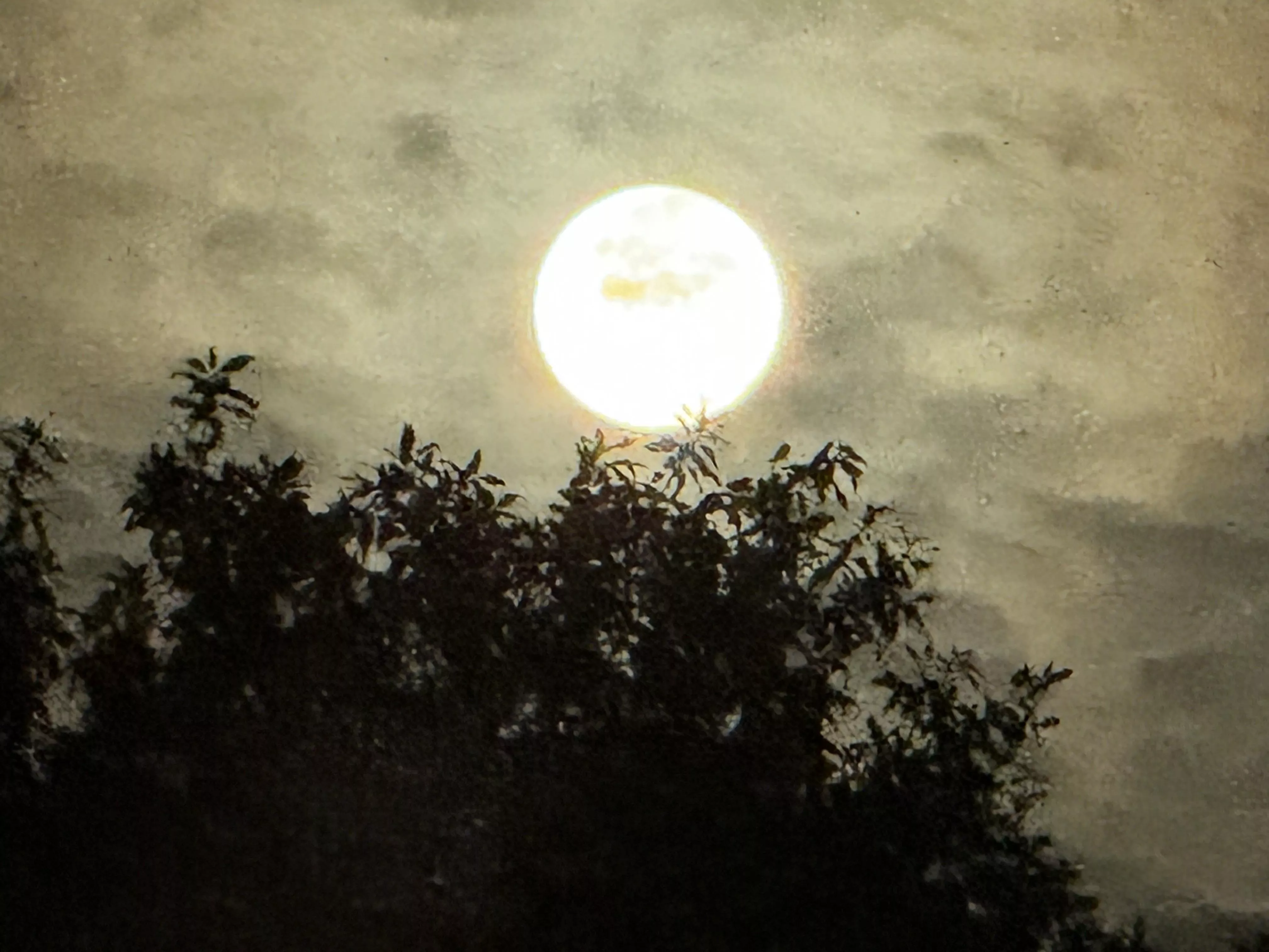 27f back downtown today peep the profile see if interested (; [f]