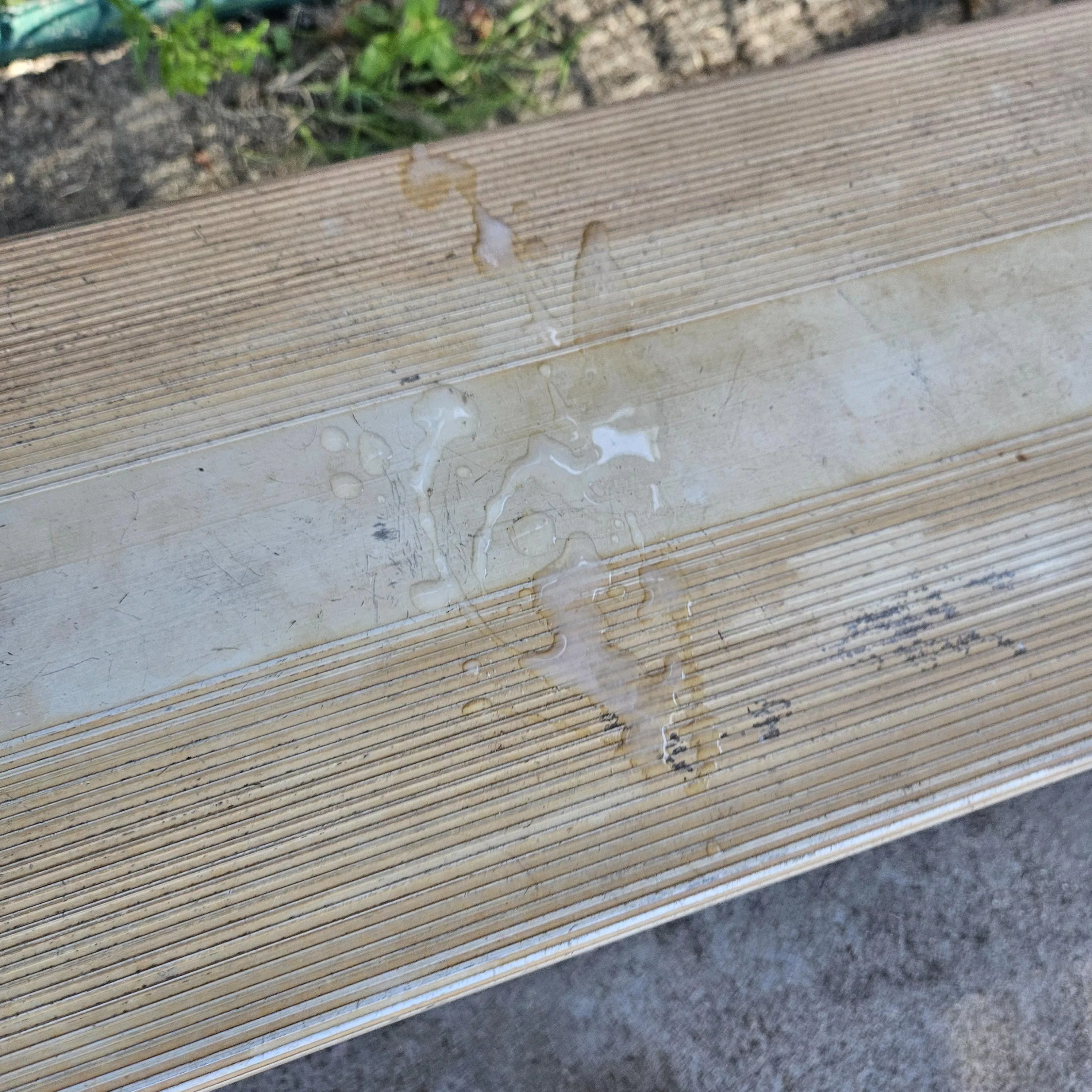 [32] - Came on a dugout bench at the park
