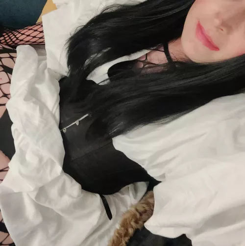 34 [T4A] #NearHavant